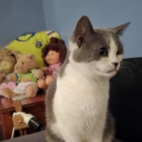 Photo of Minnie