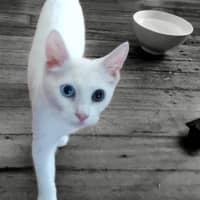 Photo of Elsa