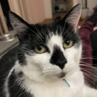 Photo of Snuggles