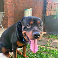 Photo of Onyx