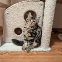 Photo of Rosalita
