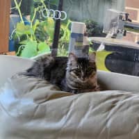 Photo of Sophie