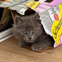Photo of Cloud