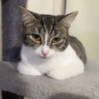 Photo of Monty