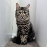 Photo of Daisy