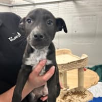 Photo of Quarter Past