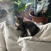 Photo of Emily 