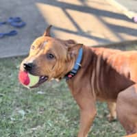 Photo of Reuben
