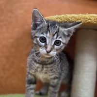 Photo of Lorelai