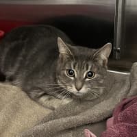 Photo of Molly 