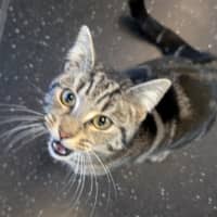 Photo of Mrs. Cunningham