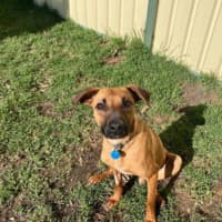 Photo of Finley 