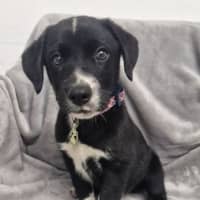 Photo of D1263 Regina