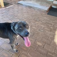 Photo of Murphy