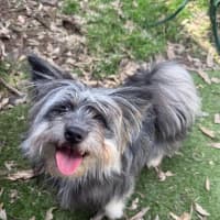 Photo of Oakley