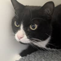 Photo of ⛳ Melvin 5886 ⛳