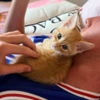 Photo of Bear & Scout 