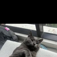 Photo of Sweetie Boy