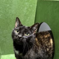 Photo of Bellatrix