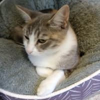Photo of Mae