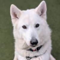 Photo of Storm