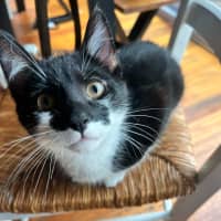 Photo of Atlas