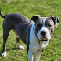 Photo of 🧱 Mason 6377 🧱