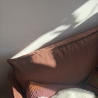 Photo of Bella The Foot Warmer