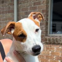 Photo of Winston