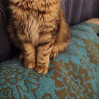 Photo of Penelope