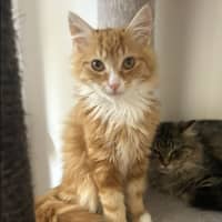 Photo of Jamie ❤️