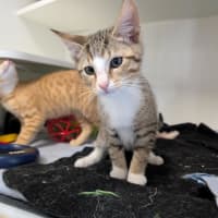 Photo of Bermuda