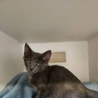 Photo of Wiggles
