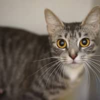 Photo of Maxine