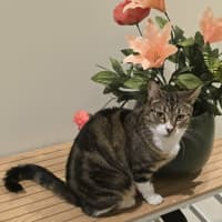 Photo of Tess