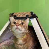 Photo of Sir Basil 
