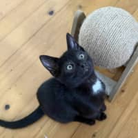 Photo of Yogi