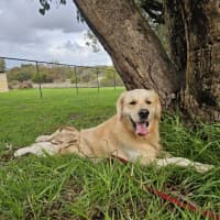 Photo of Oakley