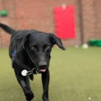 Photo of Ares