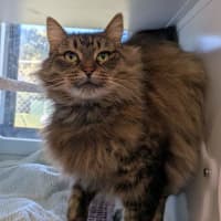 Photo of Fifi