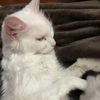 Photo of Elsa
