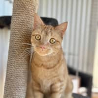 Photo of Daisy 
