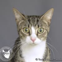 Photo of Dolly Parton