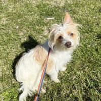 Photo of Bert (9003)