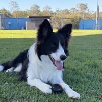 Photo of Fidget