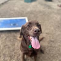 Photo of Dora