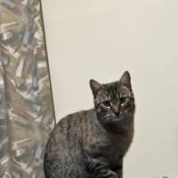 Photo of Aster Uffelman