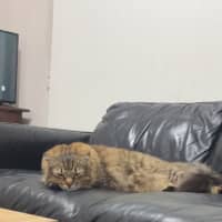 Photo of Leo
