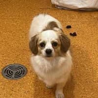 Photo of Mimi