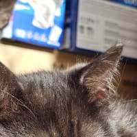 Photo of Jeff